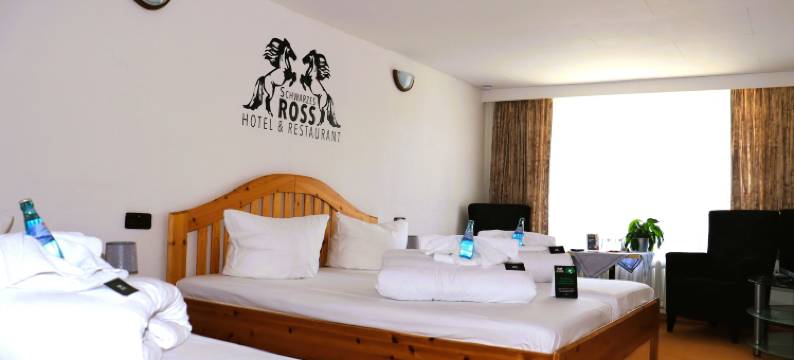 施瓦尔兹罗斯餐厅酒店(Schwarzes Ross Hotel & Restaurant Oberwiesenthal)图片