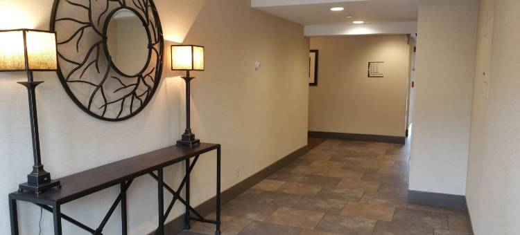 凯艺套房酒店(Quality Inn & Suites)图片