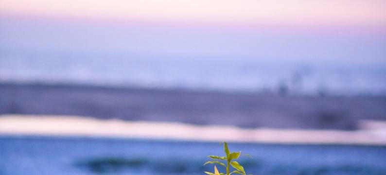 贝莱萨海滨酒店(Beleza by the Beach)图片