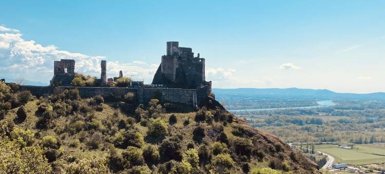 北蒙特利马中世纪之家酒店(Logis Hôtel Médiéval, Montélimar Nord)图片