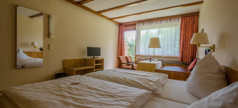 菲特尔山区的瓦格纳酒店(Wagners Hotel im Fichtelgebirge)图片