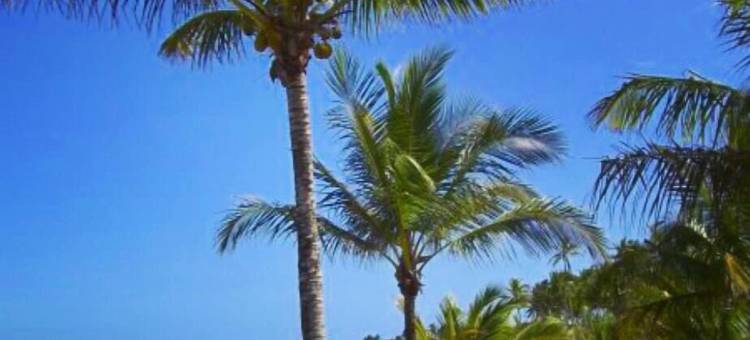 科伦保美景别墅(Vila Bela Vista)图片