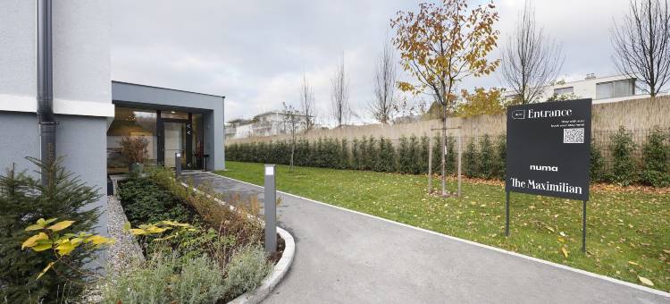 努玛 | 马克西米利安(Numa | Maximilian)图片