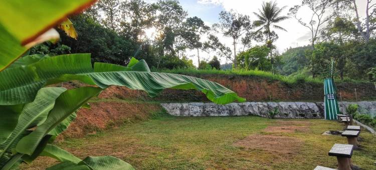 桑盖雷冰绿色和平旅馆(Green Peace Sungai Lembing)图片