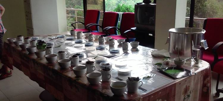 Nest住宅 - 旅舍(Nest Residence - Hostel)图片