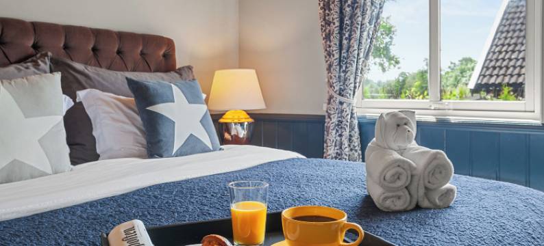 克拉拉(Klara)图片