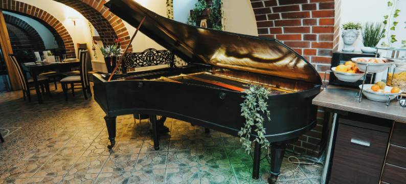 拉席波尔兹波隆尼亚酒店(Polonia Raciborz)图片