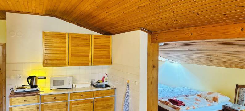 帕兹克宾馆(Penzion Pažický)图片