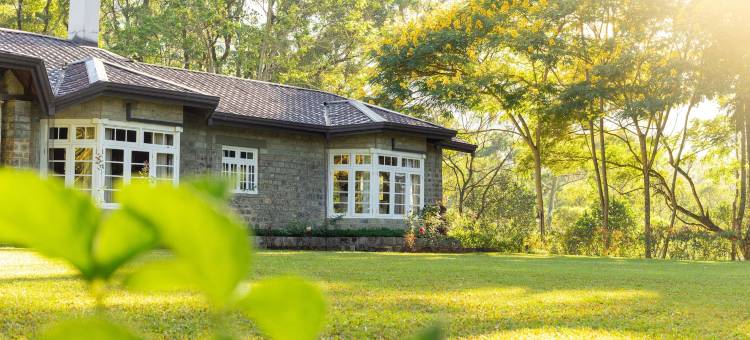 薰见小筑(The Lavender House by Reveal)图片