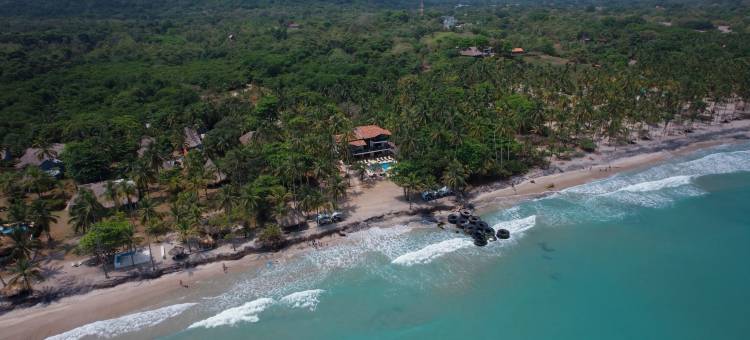 科科努科海滩帕洛米诺(Coconuco Beach Palomino)图片