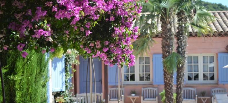 马斯德西加莱斯(Le Mas des Cigales)图片