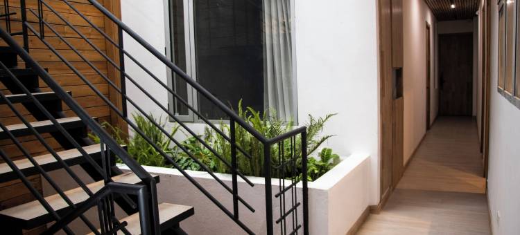 泽尼亚(zenia)图片