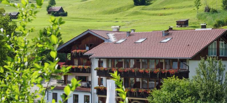 索尼克高山酒店(Alpenhotel Sonneck - Mit Bergbahnticket)图片