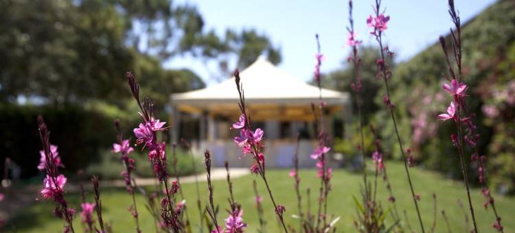 乐丝皮给农场酒店(Agriturismo le Spighe)图片