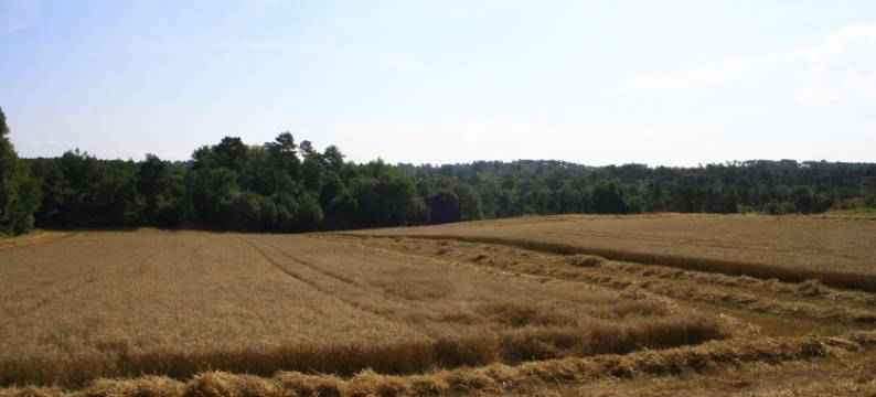 欧布瓦多蒙特度假屋(Ô Bois Dormant)图片