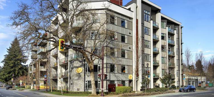 索罗套房酒店(SoLo Suites)图片