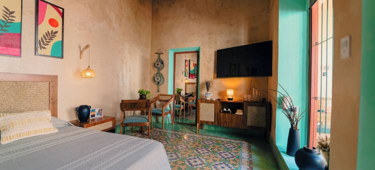 兰兹之家XVII精品酒店(Hotel Boutique Casa Lanz XVII)图片