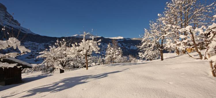 瑞士丽城品质酒店(Belvedere Swiss Quality Hotel)图片