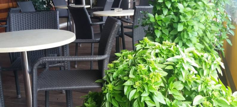 圣乔吉奥酒店(San Georgio Hotel)图片