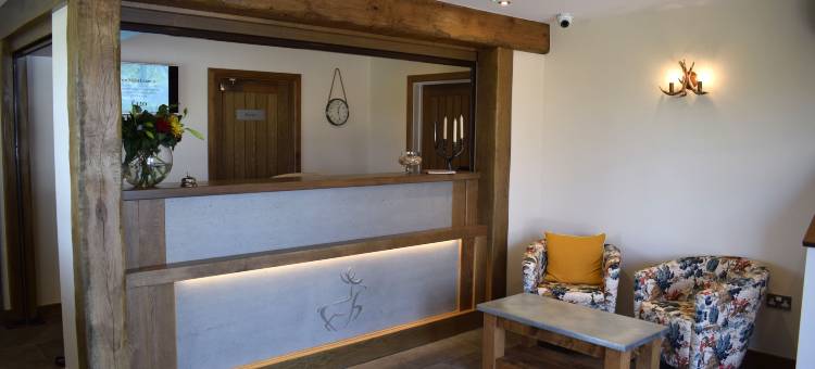 怀特哈特住宿加早餐旅馆(The White Hart Inn)图片