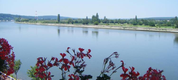 贝尔维尤餐厅酒店(Logis - Hôtel & Restaurant le Bellevue)图片