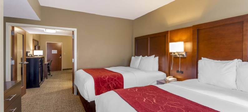 北诺克斯维尔舒适套房酒店(Comfort Suites North)图片