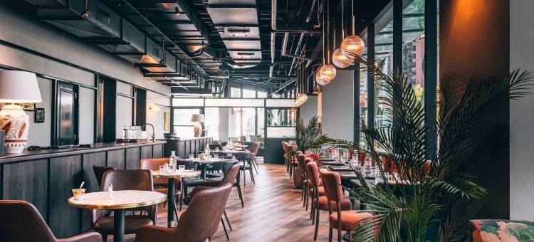 北悉尼韦伯酒店(Vibe Hotel North Sydney)图片