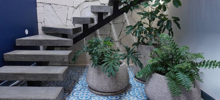 卡萨马蒂娜客栈(Casa Martina Guest House)图片