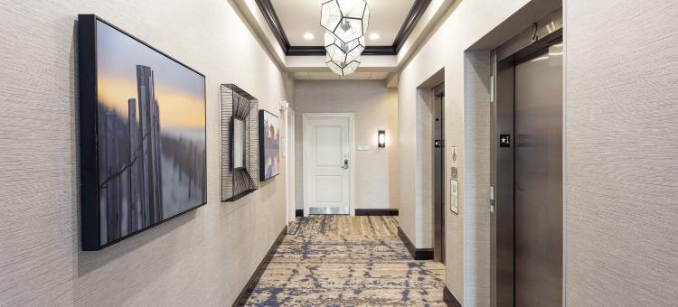 查尔斯顿-快乐山希尔顿逸林酒店(DoubleTree by Hilton Charleston Mount Pleasant)图片