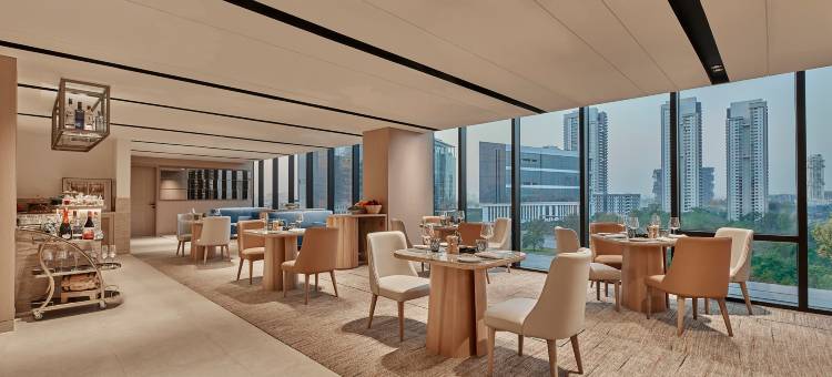 希尔顿古尔冈巴尼市中心(Hilton Gurugram Baani City Centre)图片