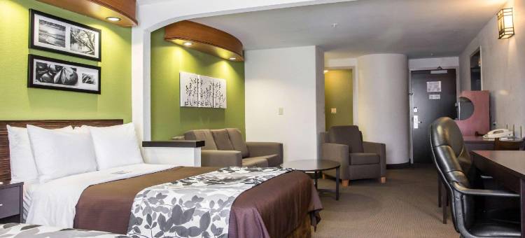 耶米特斯堡舒眠套房酒店(Sleep Inn & Suites)图片