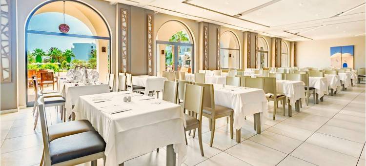 吉尔巴岛蓝棕榈俱乐部酒店(Club Palm Azur Families and Couples)图片