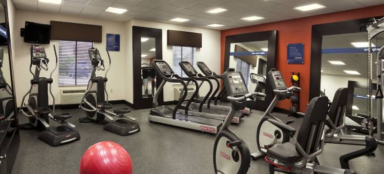 康罗I-45号北欢朋套房酒店(Hampton Inn & Suites Conroe I-45 North)图片