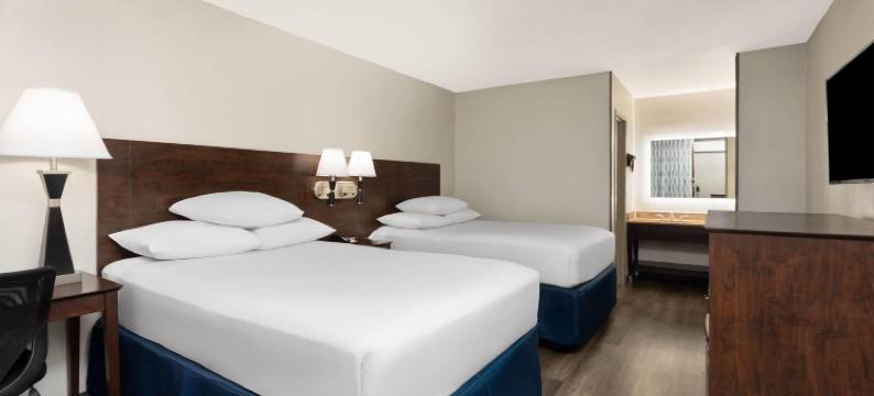 奥兰多会议中心/国际大道戴斯酒店(Days Inn by Wyndham Orlando Conv. Center/International Dr)图片