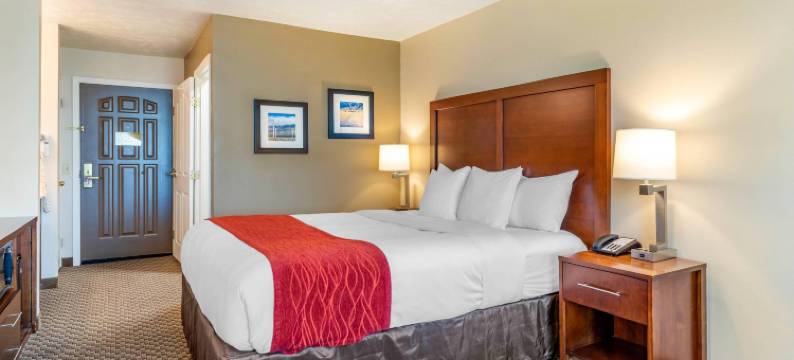 兰开斯特羚羊谷舒适套房酒店(Comfort Inn & Suites Lancaster Antelope Valley)图片