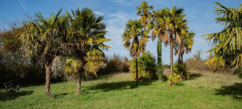 Oakwood Hideaway Stay图片