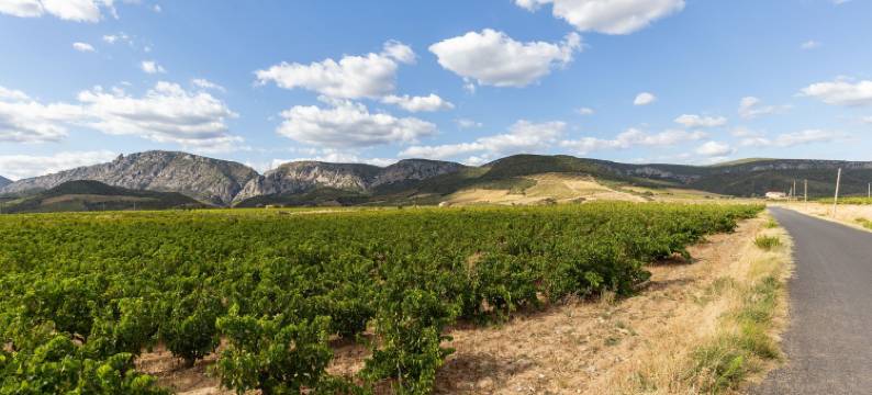 Holiday Home in Tautavel near Gorges de Gouleyrous图片