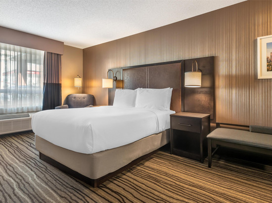 卡尔加里中心贝斯特韦斯特优质酒店