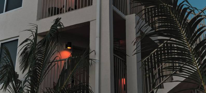 大西洋棕榈酒店(Ambros Daytona)图片