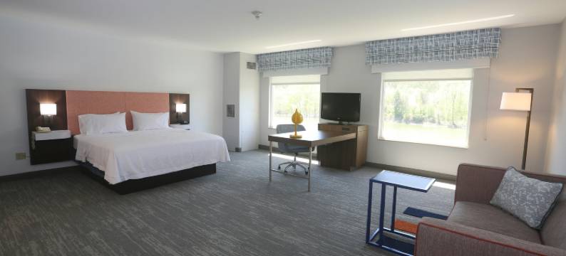 希尔顿欢朋酒店-奥韦戈(Hampton Inn Owego)图片