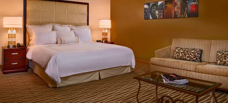 BWI机场万豪酒店(BWI Airport Marriott)图片