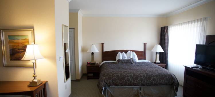 Staybridge Suites 圣安东尼奥海洋世界(Staybridge Suites San Antonio Sea World)图片