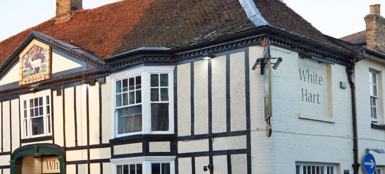 布兰特里白鹿酒店 - 格林国王旅馆(White Hart Hotel by Greene King Inns)图片