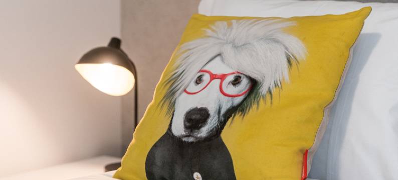 GuestReady - A lovely stay in Aveiro图片