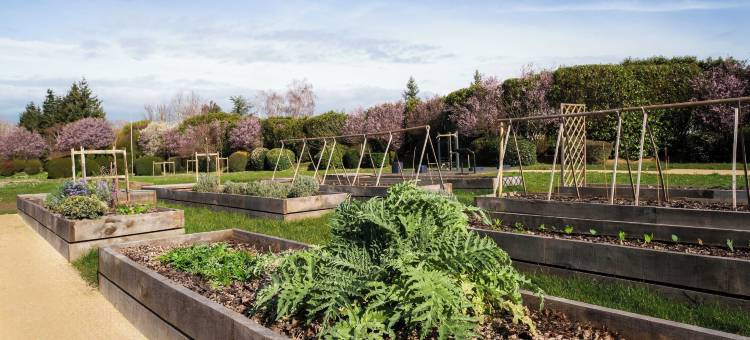 康铂 NATURE - 塞纳河畔维莱讷波瓦西(Campanile NATURE - Villennes sur Seine Poissy)图片
