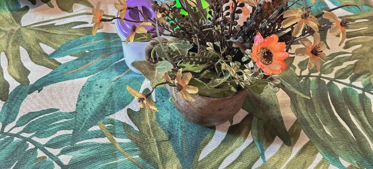 SiempreViva 旅馆由GEstores运营(SiempreViva Hospedaje By GEstores)图片