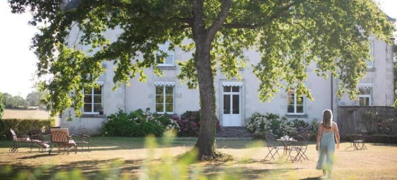 布里乌斯庄园(Domaine de La Briouse)图片