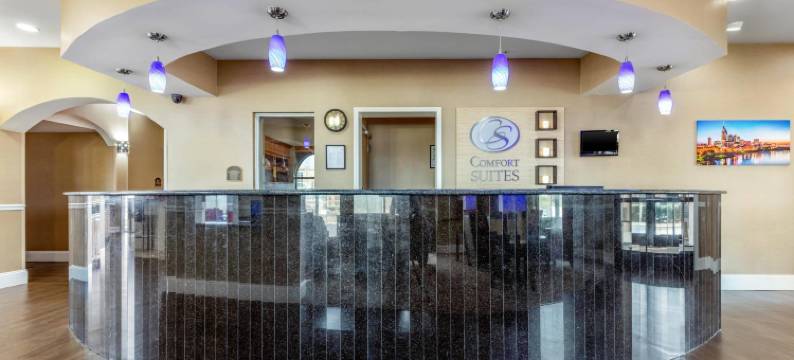 舒适套房酒店(Comfort Suites Smyrna)图片