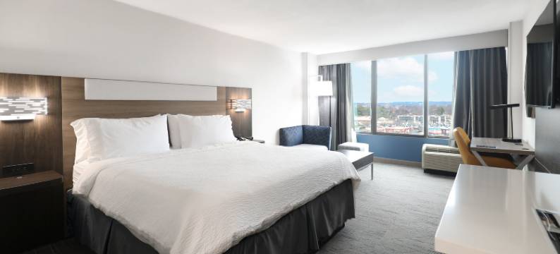 洲际酒店集团智选假日酒店 - 华盛顿特区西南斯普林菲尔德(Holiday Inn Express WASHINGTON DC SW - SPRINGFIELD by IHG)图片