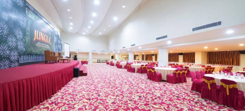 阿尤拉桑托萨酒店(Ayola Sentosa Palembang)图片